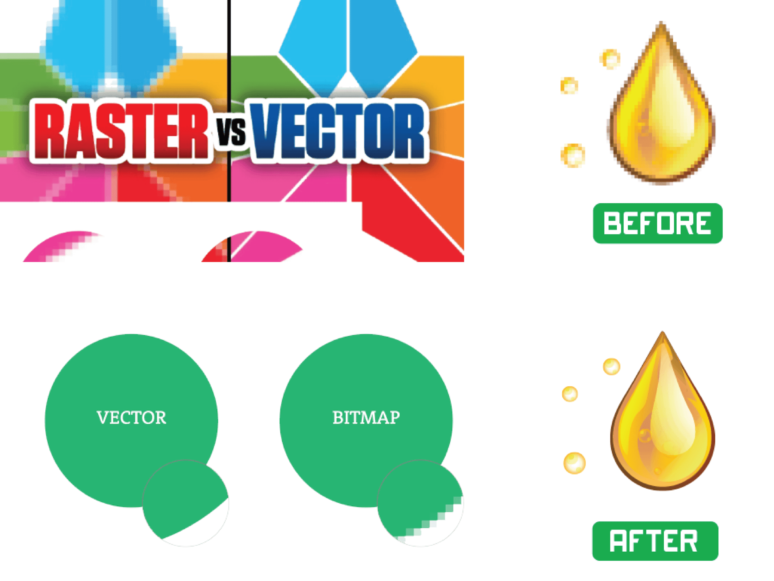 Vẽ lại file vector