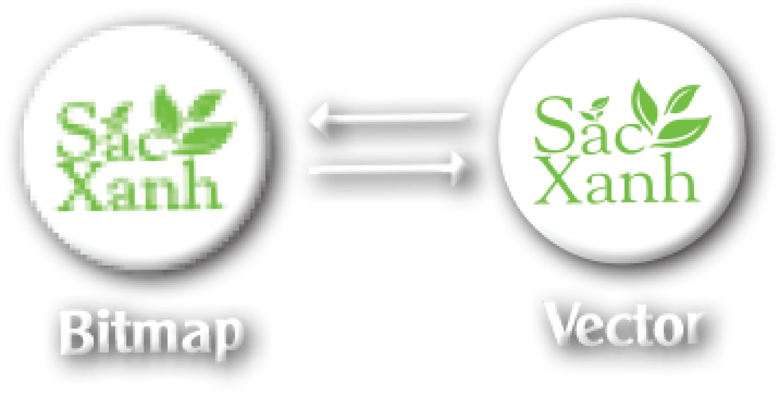 Vẽ lại file vector